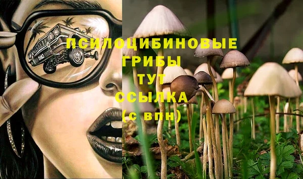 хмурый Кулебаки