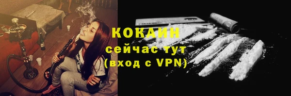 шишки Куйбышев