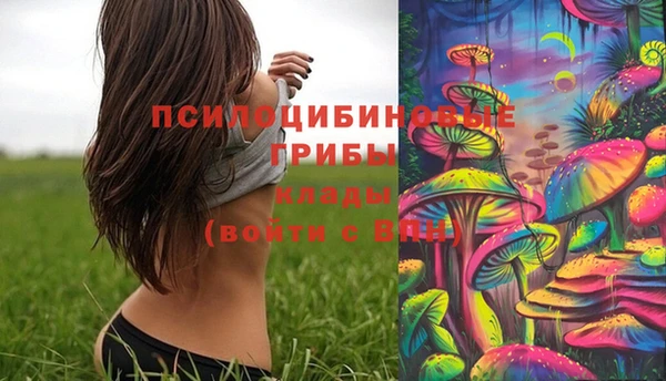 хмурый Кулебаки