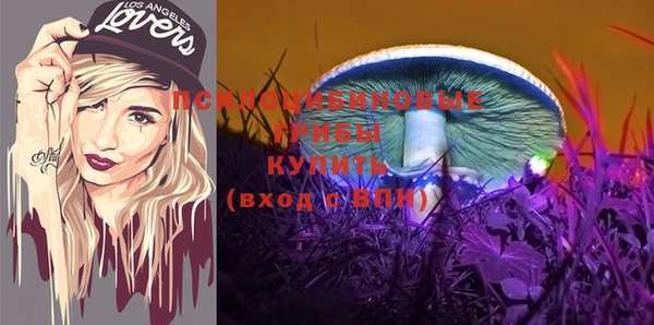 шишки Куйбышев