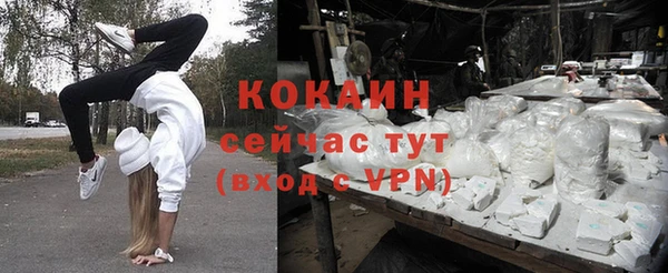 СК Кукмор