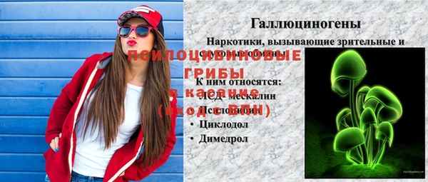 хмурый Кулебаки