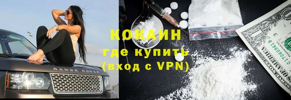 шишки Куйбышев
